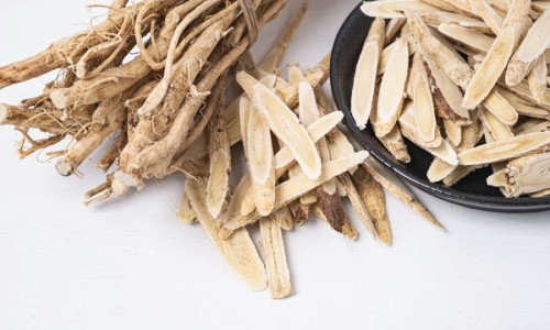 中药寄生的作用与功效与作用图片-中药寄生的作用与功效与作用网中药寄生的作用与功效与作用是什么知识网站,分享中药寄生的作用与功效与作用图片大全